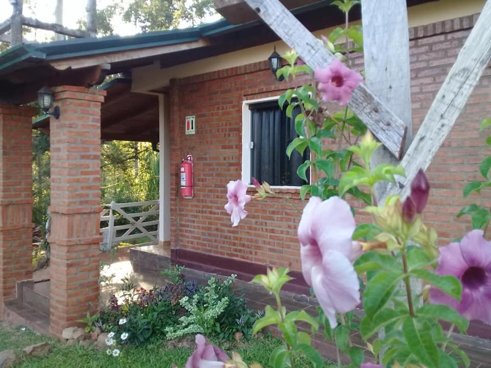Cabanas Y Boungalow Don Oscar Hotel Encarnación Zewnętrze zdjęcie
