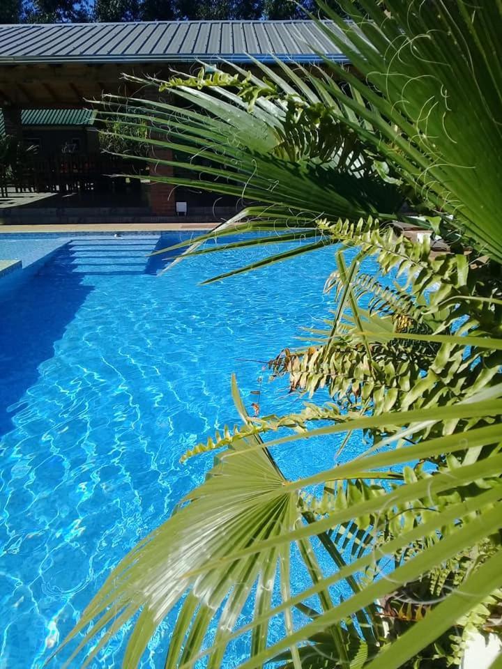 Cabanas Y Boungalow Don Oscar Hotel Encarnación Zewnętrze zdjęcie